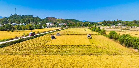 高標(biāo)準(zhǔn)農(nóng)田1.jpg